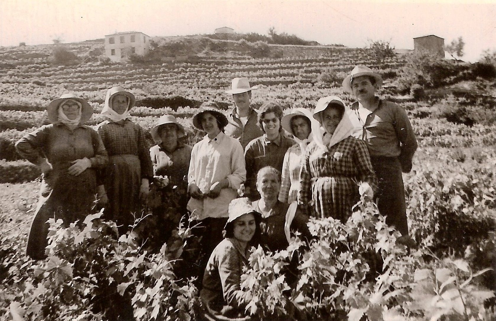 ΣΤΟΝ ΤΡΥΓΟ ΦΩΤΟ 1955