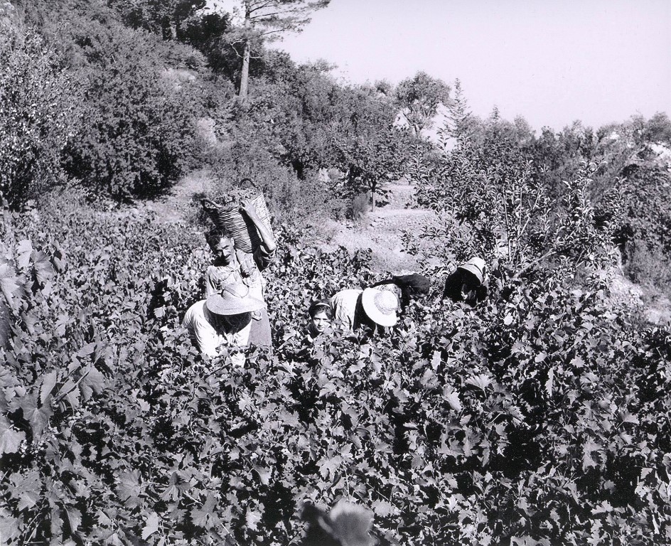 ΣΥΛΛΕΚΤΙΚΕΣ ΦΩΤΟ ΕΟΣΣ 2