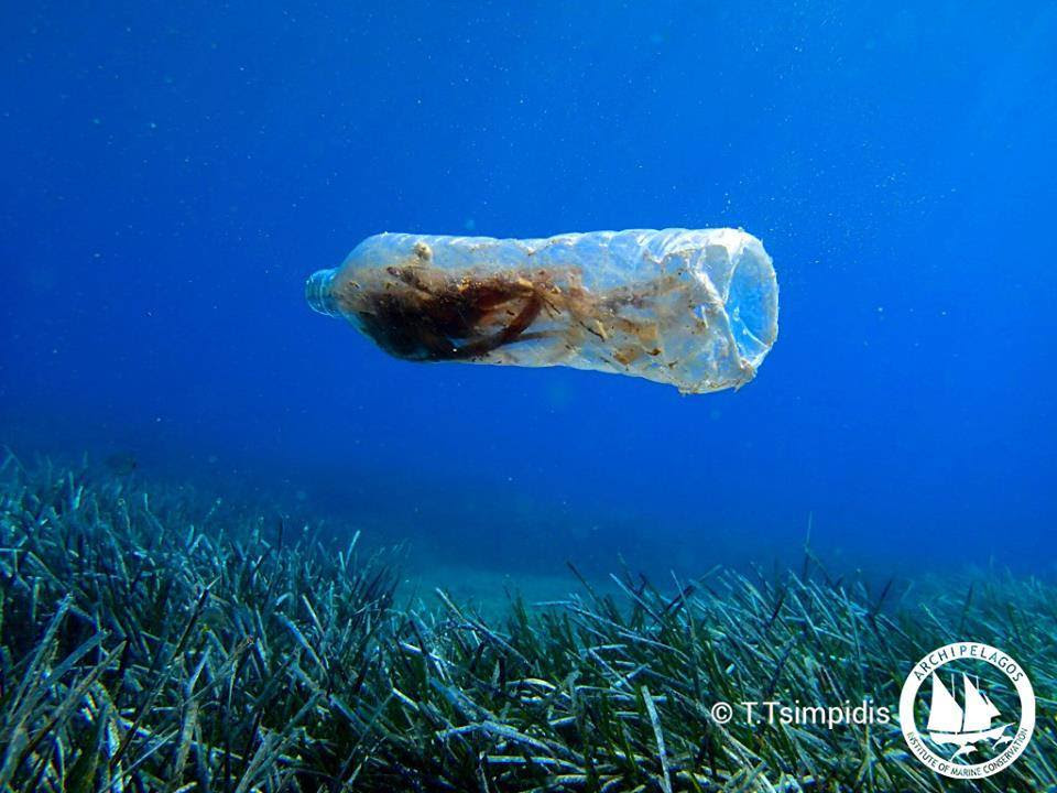 Η Τέχνη Συμμαχεί με την Επιστήμη για την Προστασία των Θαλασσών μας !