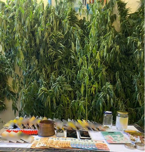 Συνελήφθησαν τρία άτομα, για καλλιέργεια, κατοχή και διακίνηση ναρκωτικών ουσιών