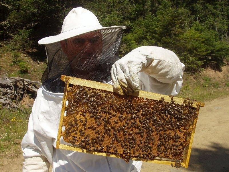 Σεμινάριο μελισσοκομίας στη Σάμο